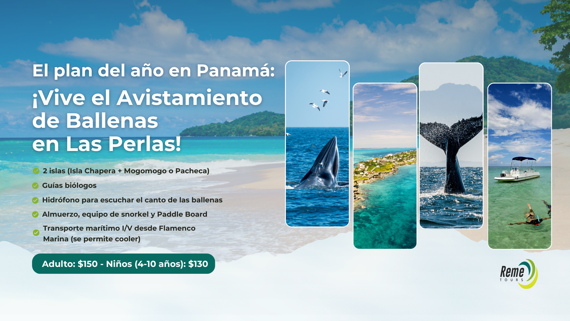 COVER WEB BALLENAS 2